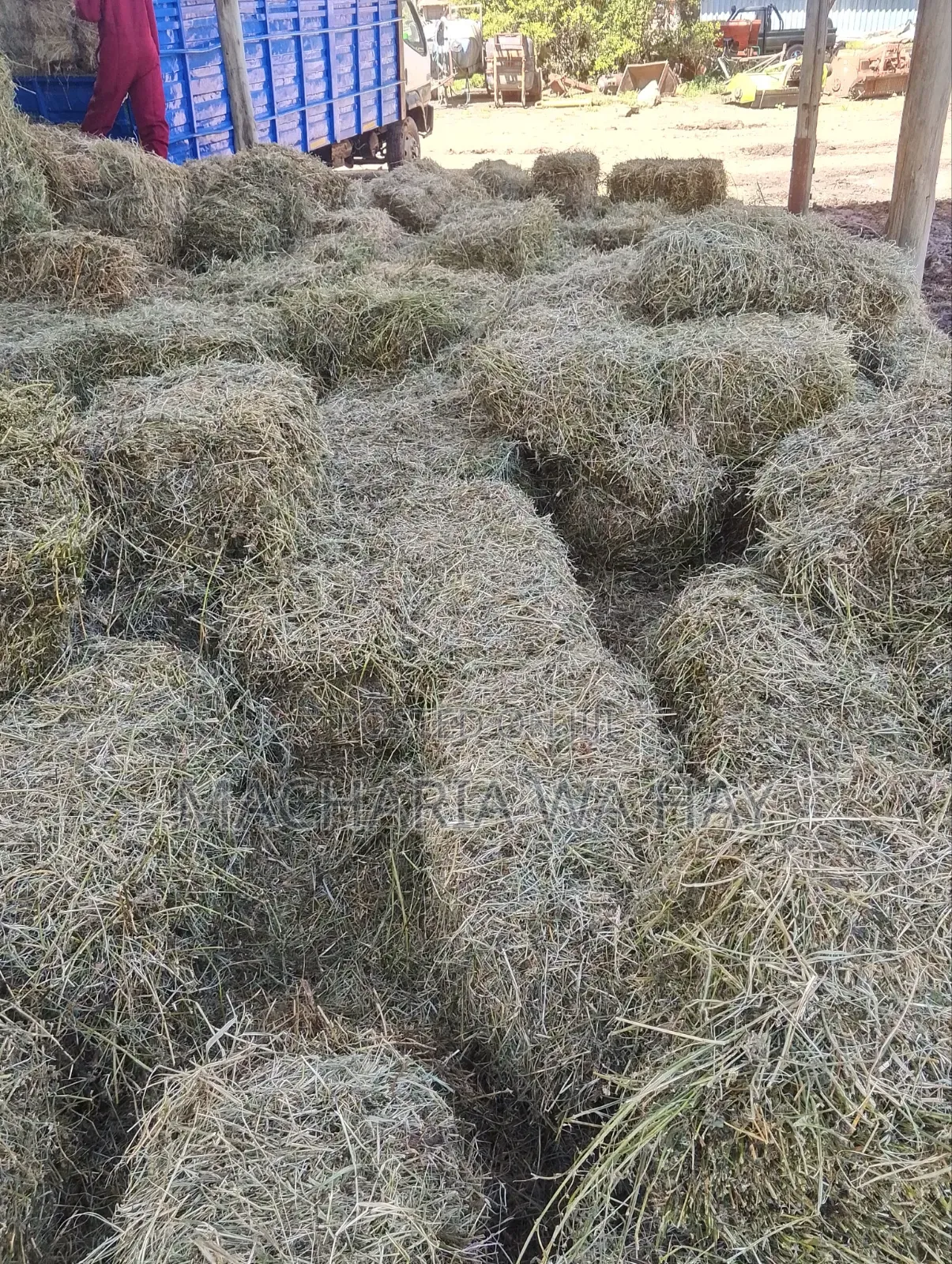Quality Lucerne Bales