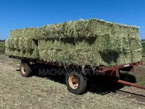 Top Quality Lucerne Hay
