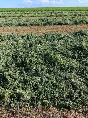 Lucerne Planting Services