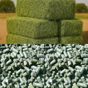 A Very Quality Lucern Pellet