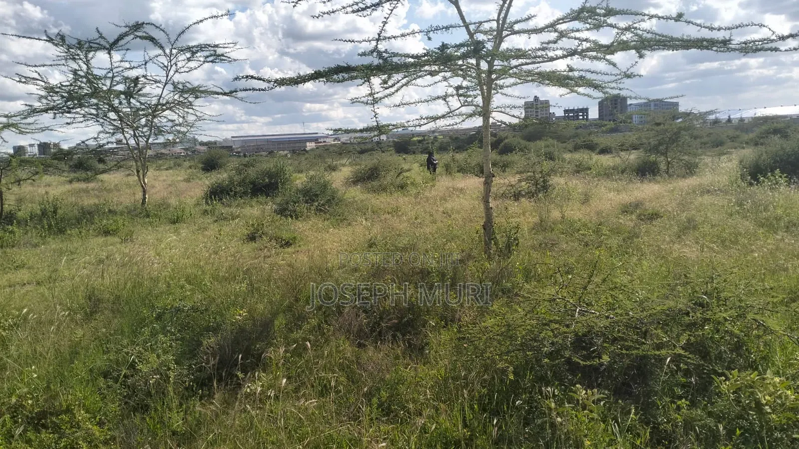 Athi River 50 by 100 Plots for Sale Near Daystar