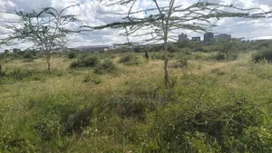 Athi River 50 by 100 Plots for Sale Near Daystar