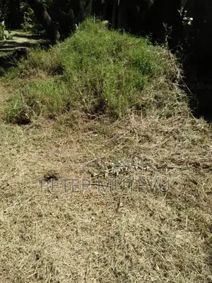 Half Acre Land for Sale in Kerarapon