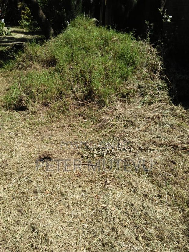 Half Acre Land for Sale in Kerarapon