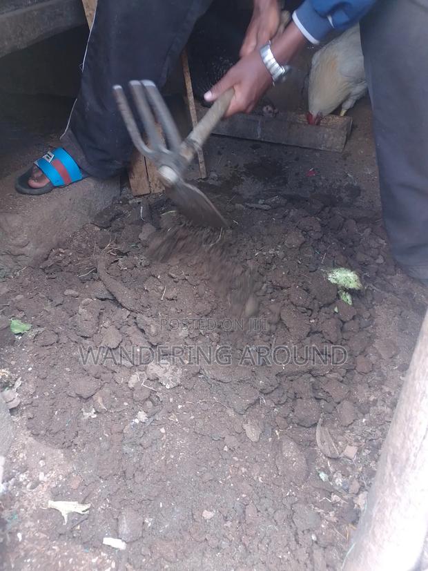 Organic Chicken Manure
