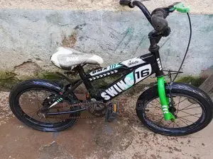 Bike Size 16
