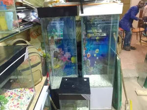 Custom Aquariums – Design, Fabrication Installation