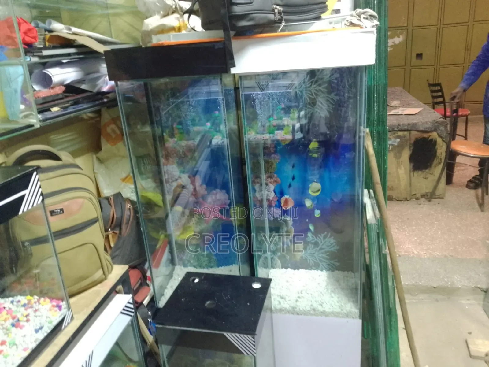Custom Aquariums – Design, Fabrication Installation
