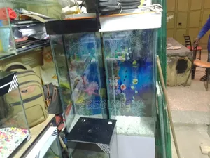 Custom Aquariums – Design, Fabrication Installation