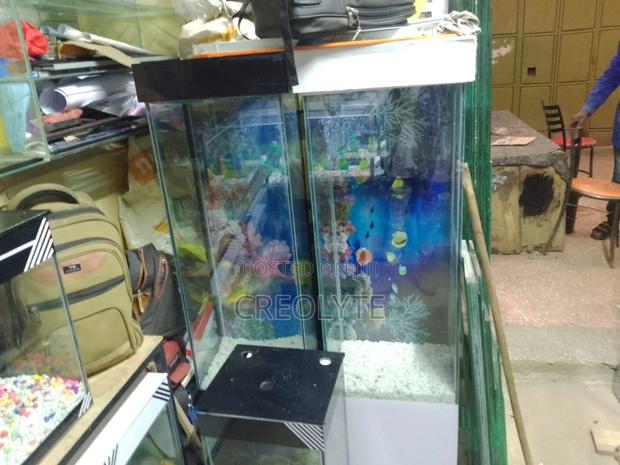 Custom Aquariums – Design, Fabrication Installation - thumbnail 3