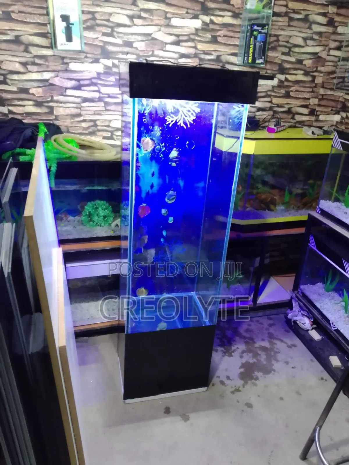 Custom Aquariums – Design, Fabrication Installation