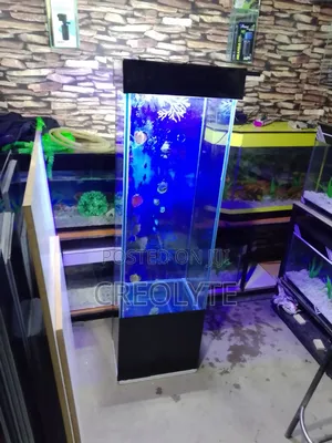 Custom Aquariums – Design, Fabrication Installation