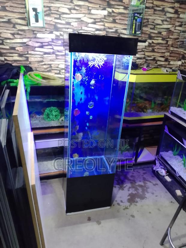Custom Aquariums – Design, Fabrication Installation - thumbnail 4