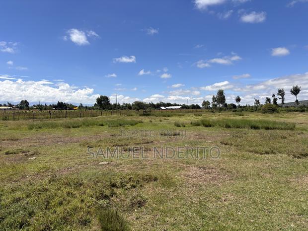 1.5 Acres in Solio Ranch, Narumoru, Laikipia County - thumbnail 4