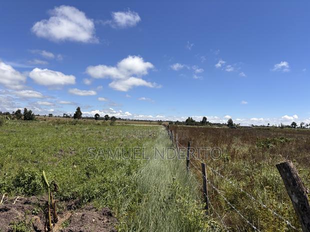 1.5 Acres in Solio Ranch, Narumoru, Laikipia County - thumbnail 5