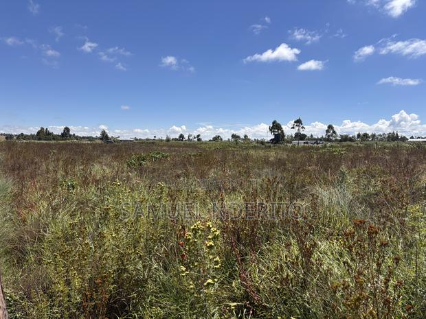1.5 Acres in Solio Ranch, Narumoru, Laikipia County - thumbnail 8