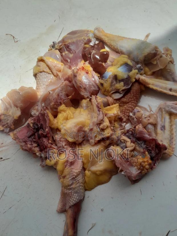 Chicken Animals - main view