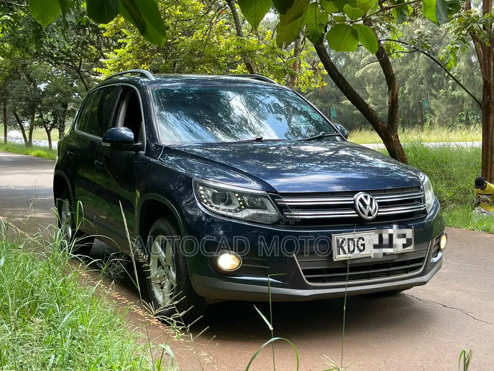 Volkswagen Tiguan 2014 Blue