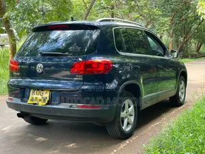 Volkswagen Tiguan 2014 Blue