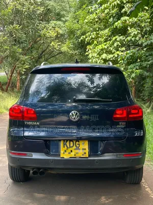 Volkswagen Tiguan 2014 Blue
