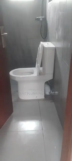 Professional Plumbing Services In Nakuru | Leak Repairs, Installations