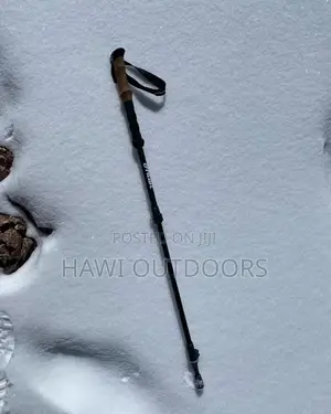 Telescopic Walking Pole