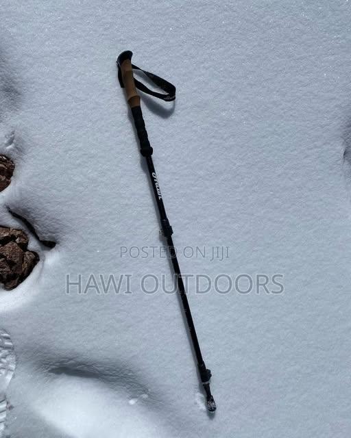 Telescopic Walking Pole