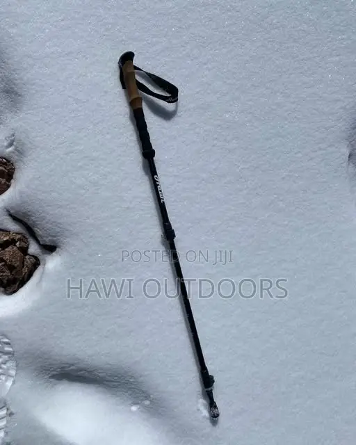 Telescopic Walking Pole