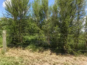 2 - 10 Acres for Sale in Segera, Nanyuki
