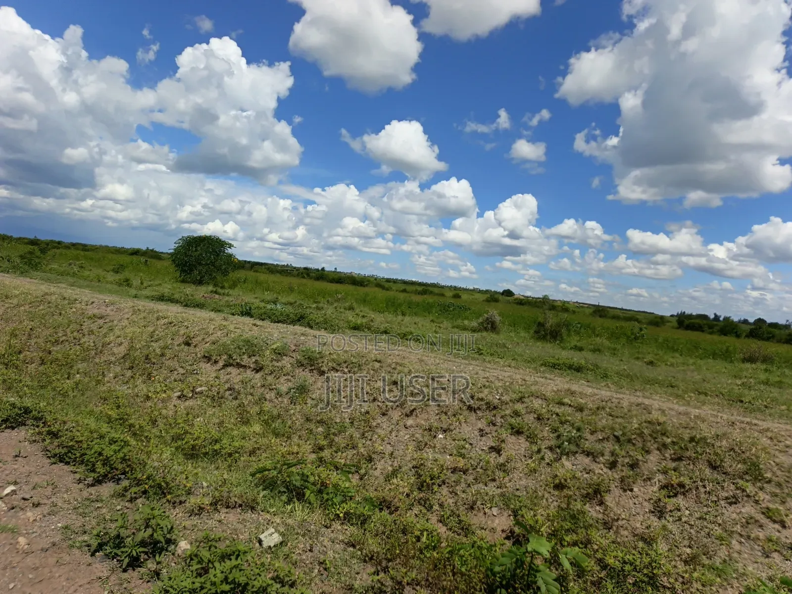 2 - 10 Acres for Sale in Segera, Nanyuki