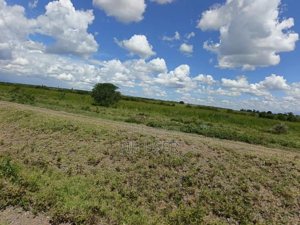 2 - 10 Acres for Sale in Segera, Nanyuki - thumbnail 4