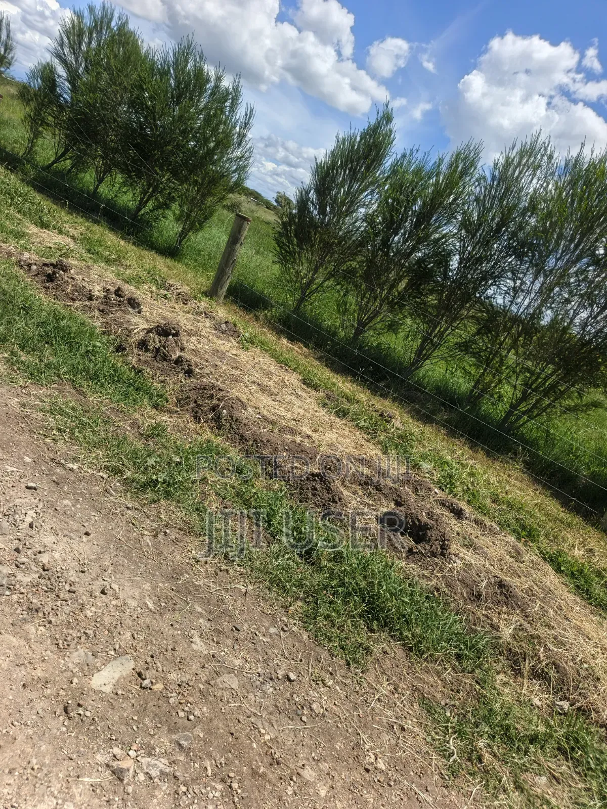 2 - 10 Acres for Sale in Segera, Nanyuki