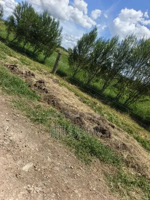 2 - 10 Acres for Sale in Segera, Nanyuki