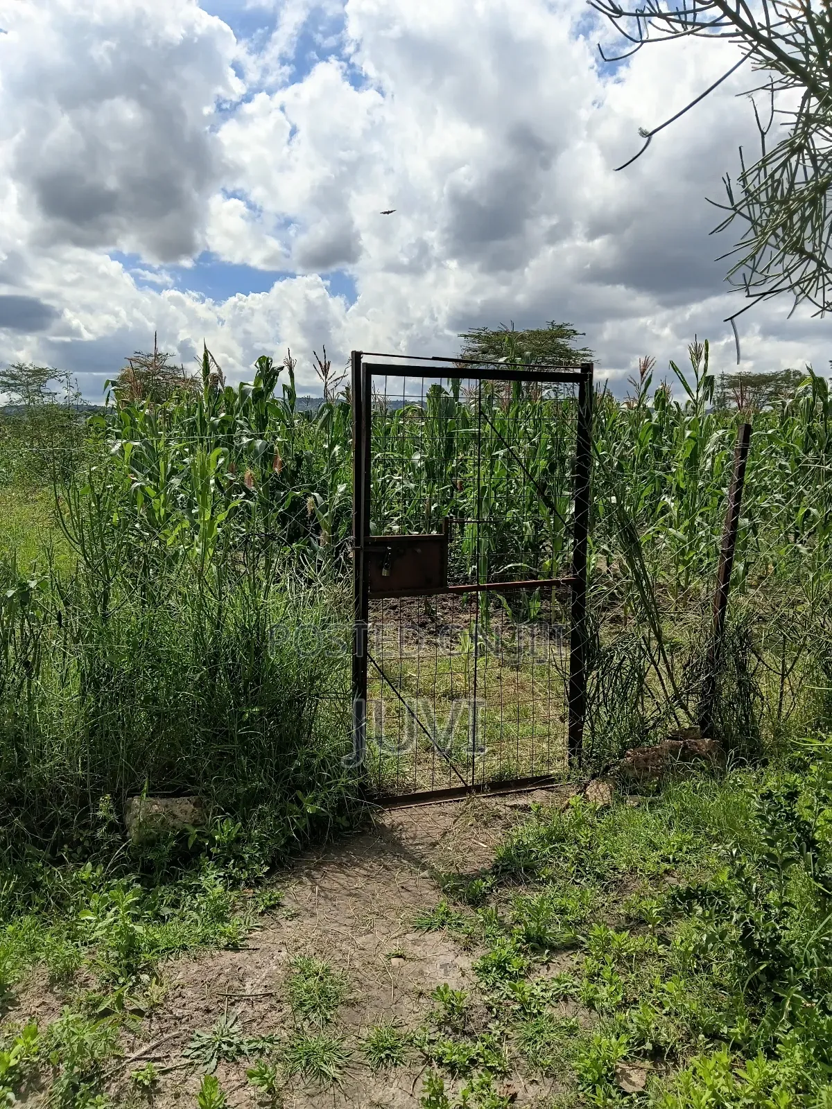 Prime Land for Sale.