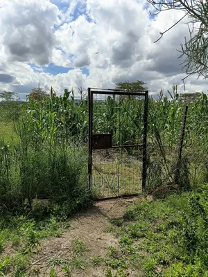 Prime Land for Sale.