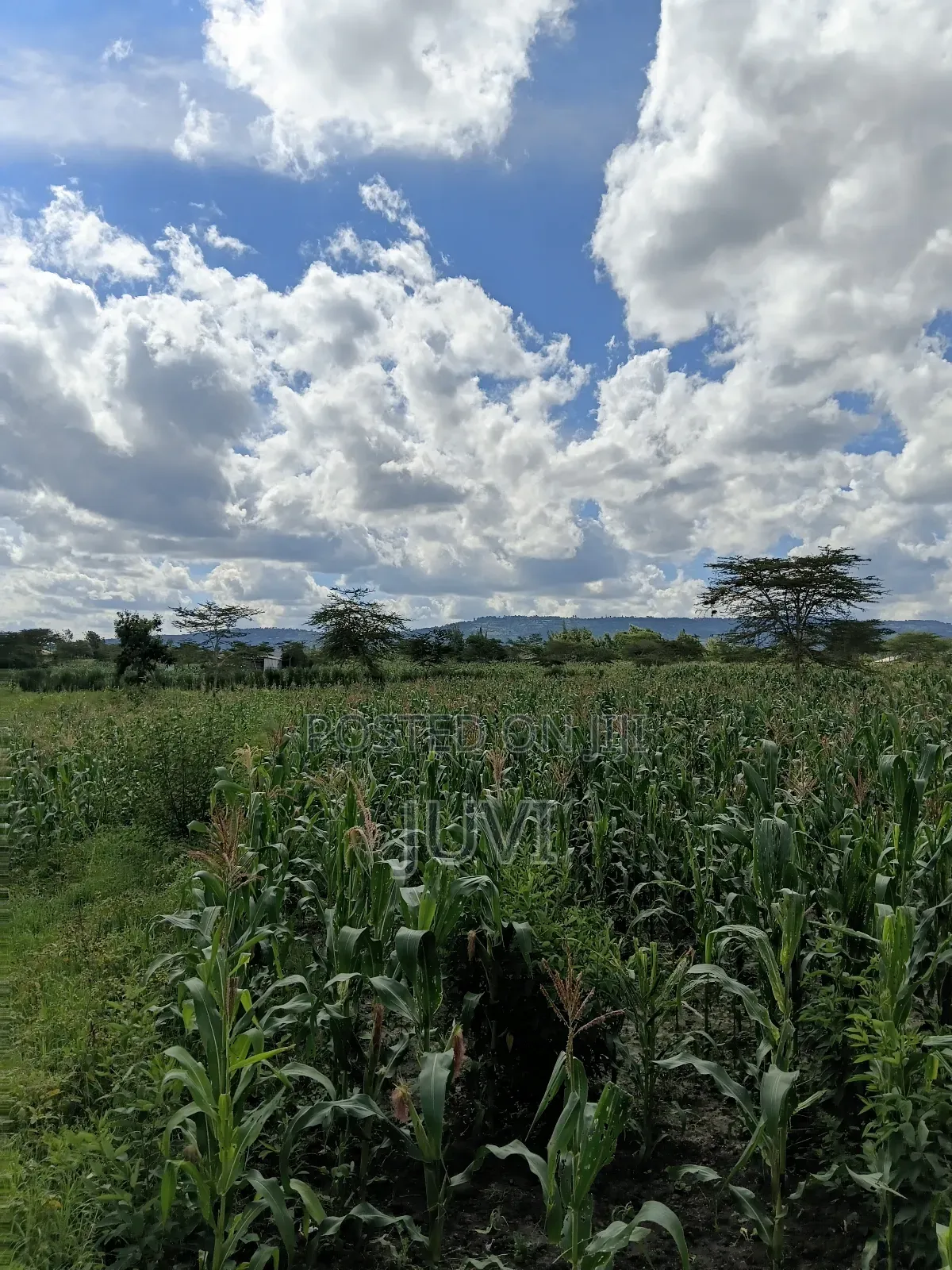 Prime Land for Sale.