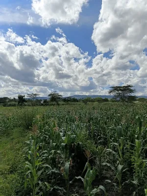 Prime Land for Sale.