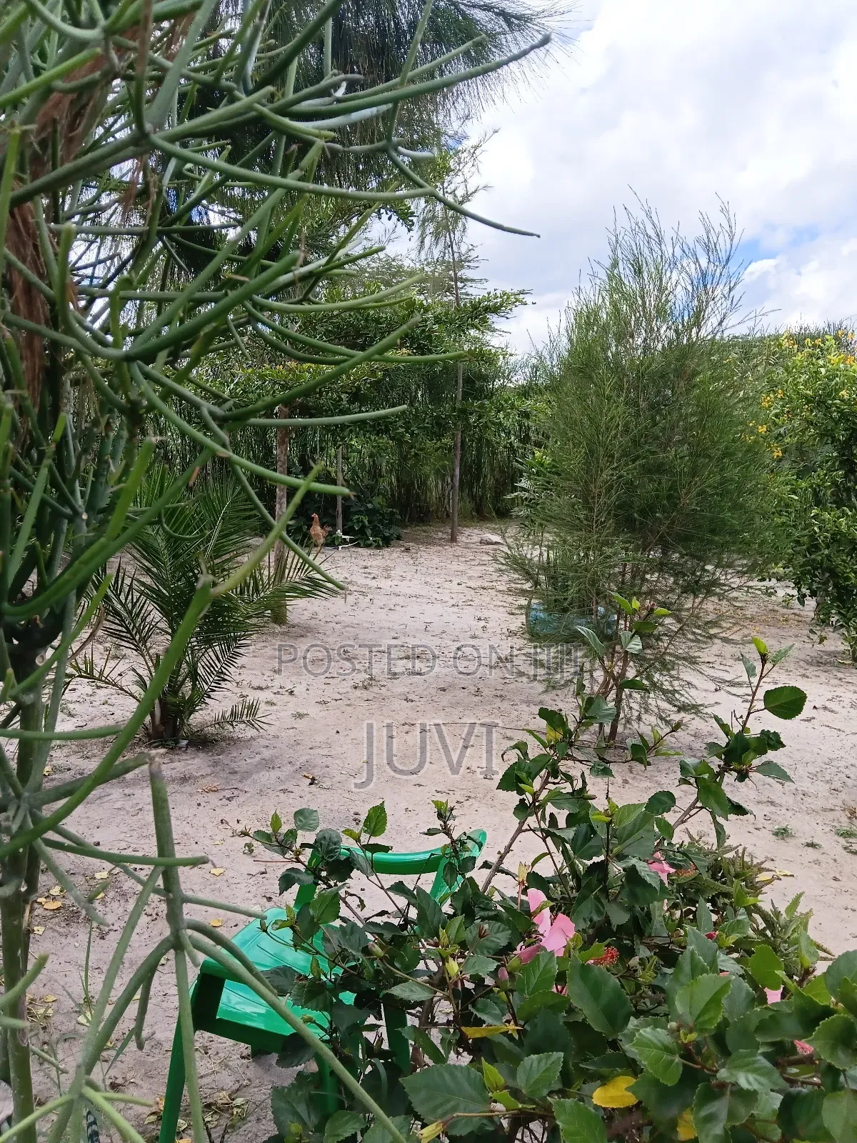 Prime Land for Sale.