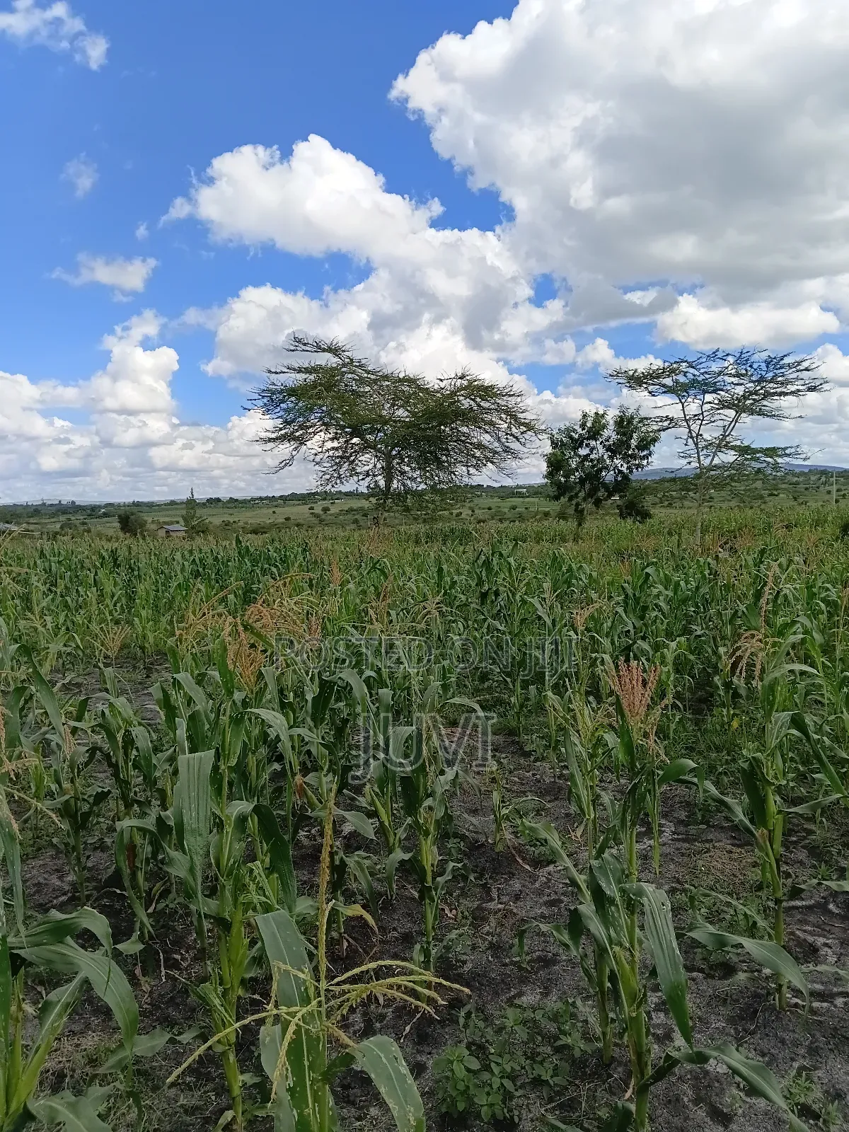 Prime Land for Sale.