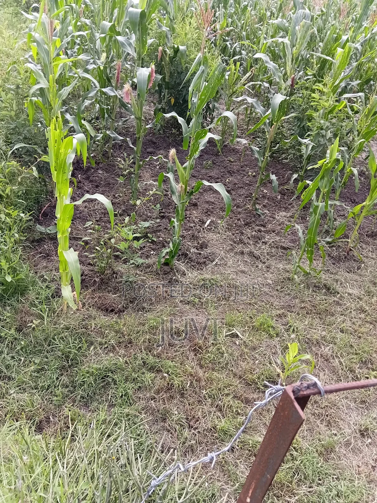 Prime Land for Sale.