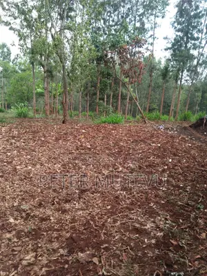 5 Acre Land For Sale In Karen