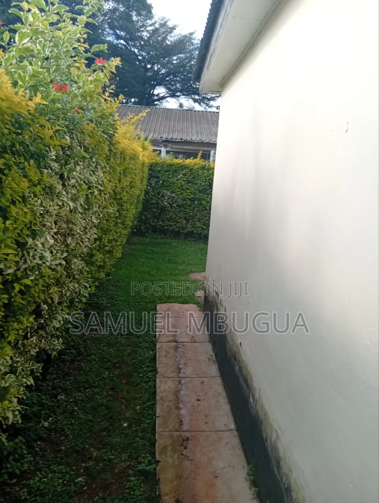 2bdrm Bungalow in Karen for rent