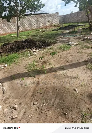 Yard for Hire