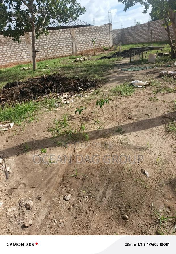 Yard for Hire - main view