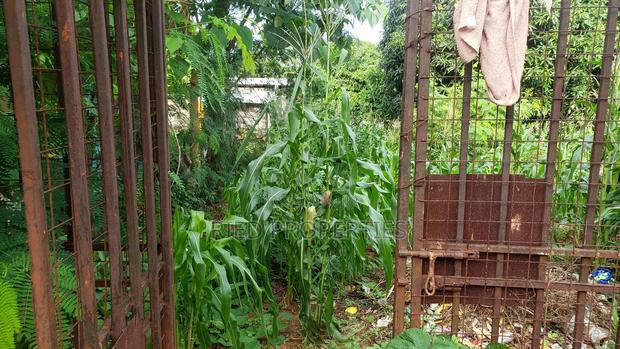 3bdrm Bungalow in Thalatha, Malindi for sale - thumbnail 11