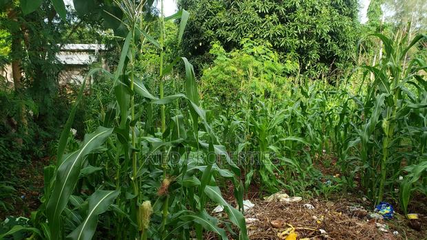 3bdrm Bungalow in Thalatha, Malindi for sale - thumbnail 12