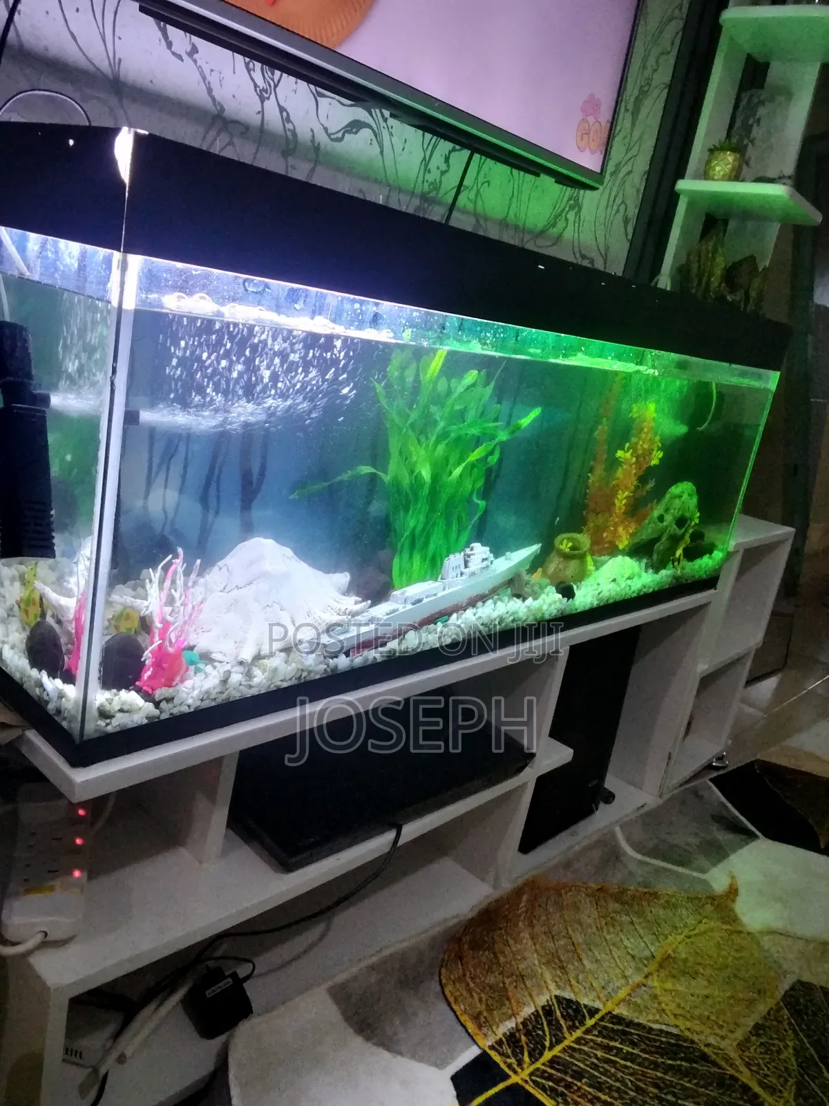 Highway Aqua Kenya Home Decor