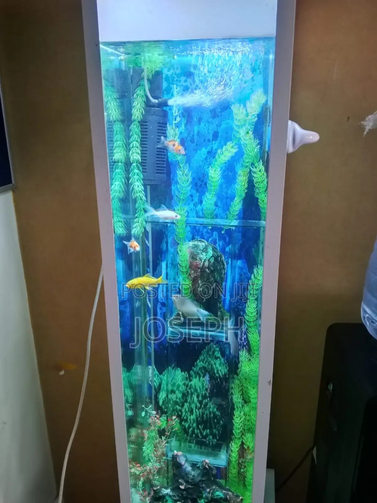 Highway Aqua Kenya Home Decor
