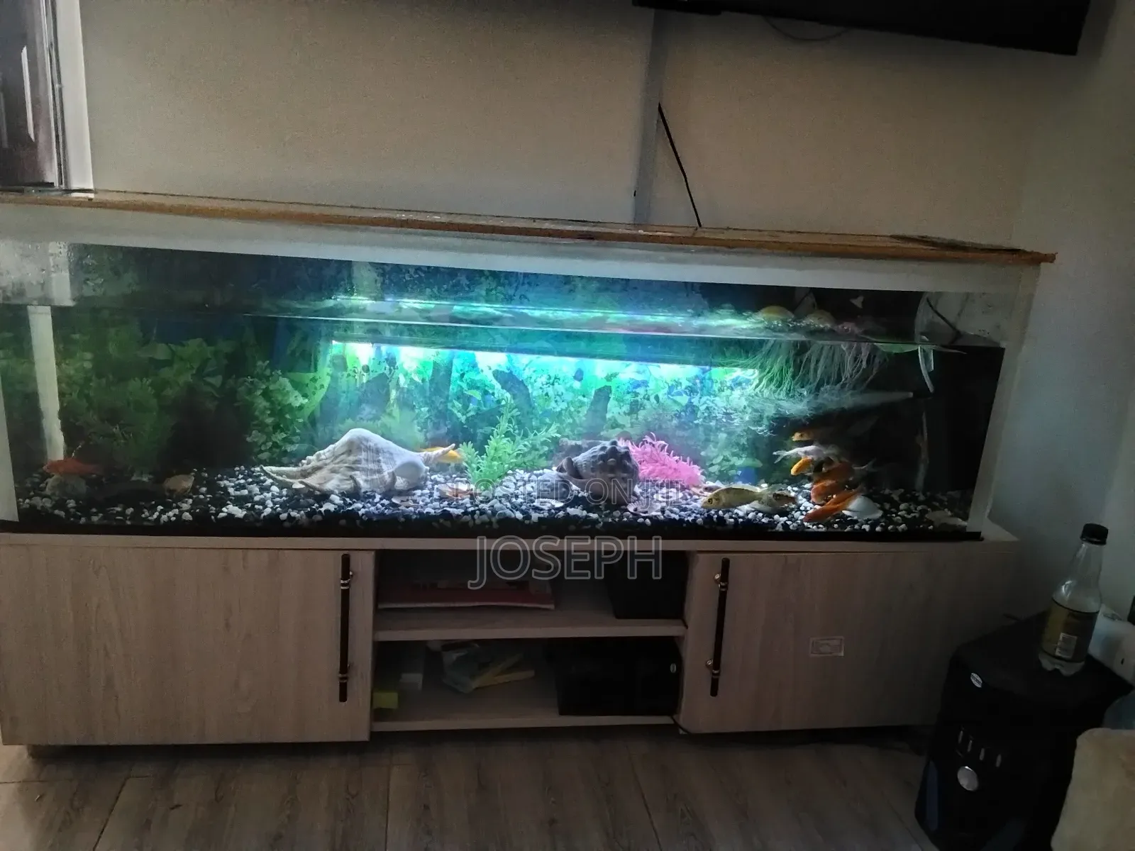 Highway Aqua Kenya Home Decor