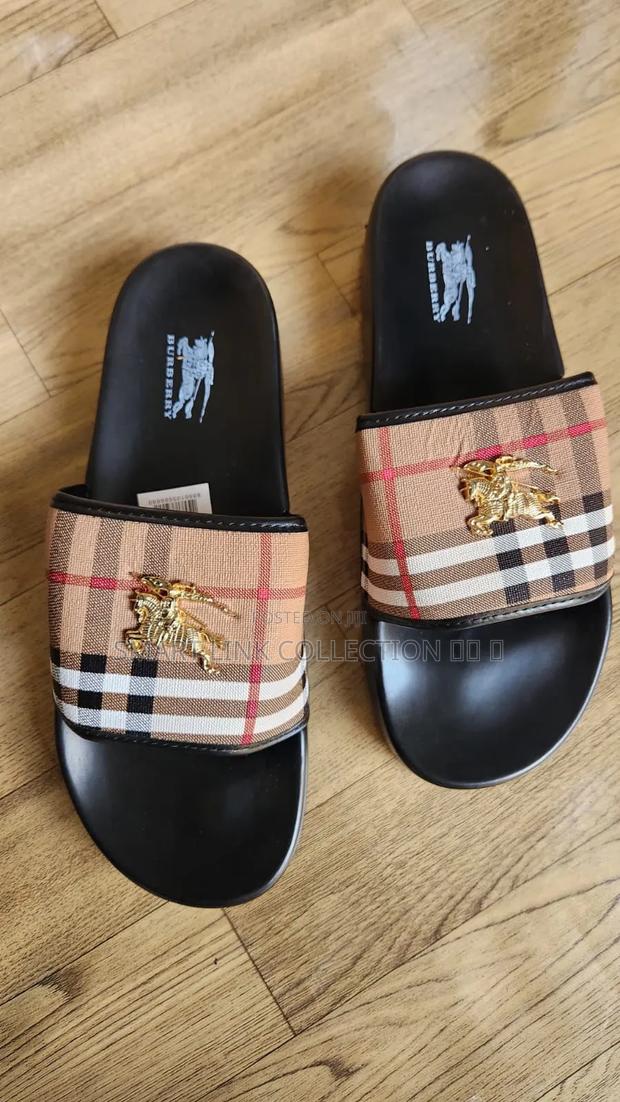 Burberry / Lv Men Sandals